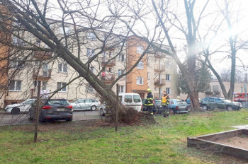 В Чехии объявлено предупреждение о сильном ветре