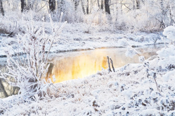 В Чехии зарегистрировали мороз в -13°C