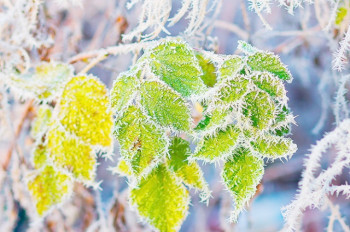 В Чехии резко похолодало. В некоторых областях на 20°C