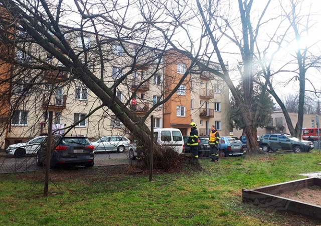 В Чехии объявлено предупреждение о сильном ветре